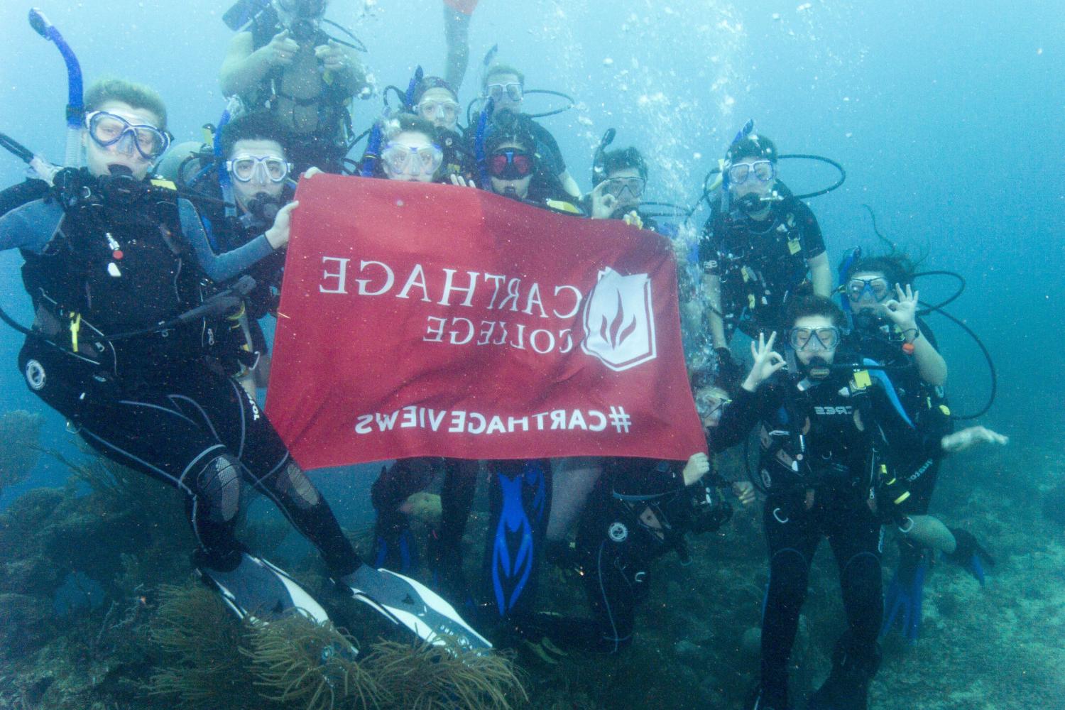 学生们手持<a href='http://qxuu.ngskmc-eis.net'>bv伟德ios下载</a>旗帜，在j学期洪都拉斯游学之旅中潜水.